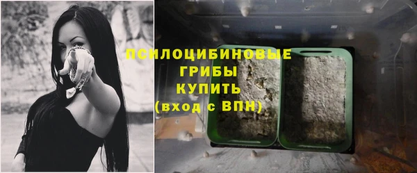 гашик Медвежьегорск