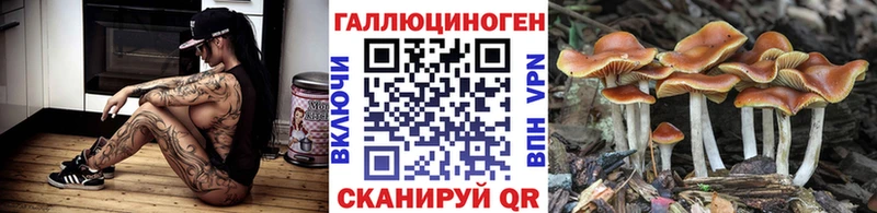 Псилоцибиновые грибы MAGIC MUSHROOMS  Азнакаево 