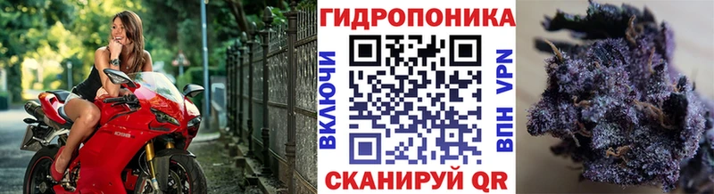 блэк спрут вход  Азнакаево  это официальный сайт  Бошки марихуана LSD WEED 